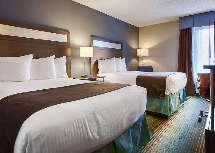 Best Western O\'Hare/Elk Grove Hotel