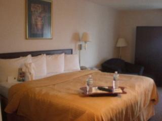 Best Western O'hare/elk Grove 3* Elk Grove Village